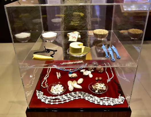 Souvenir Showcase